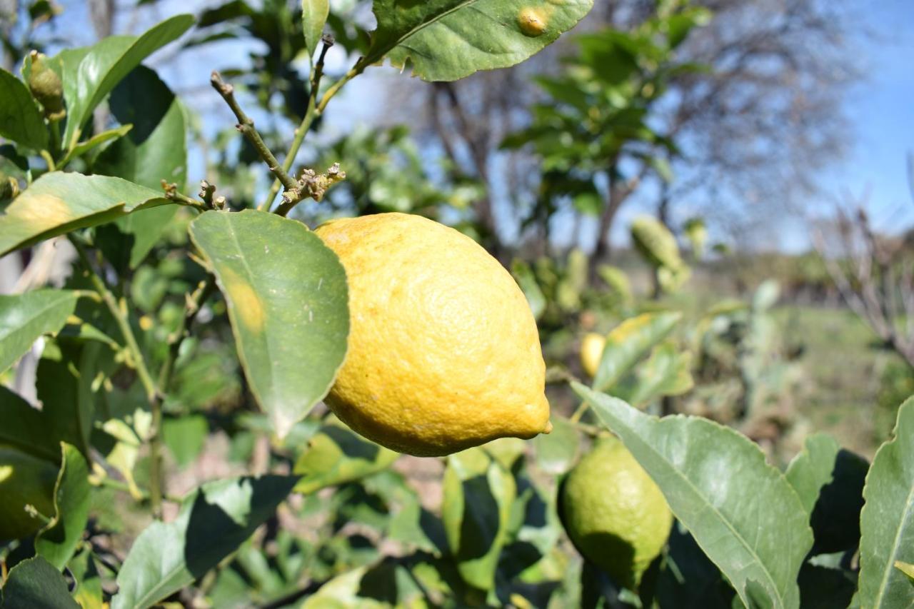 Vila Etna Tra Le Querce Santa Venerina Exteriér fotografie
